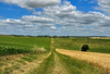 Parcours de la Save <br> Isle-Jourdain (32)