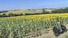 Coteaux de Gascogne <br>Cologne (32)