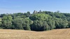 Coteaux de Gascogne <br>Cologne (32)