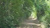 Le chemin de fer <br> Mauvezin (32)