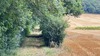 Le chemin de fer <br> Mauvezin (32)