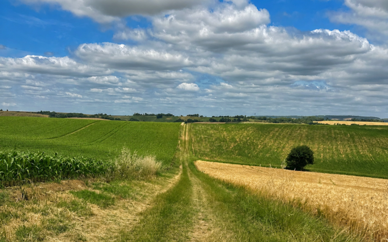 Parcours de la Save <br> Isle-Jourdain (32)