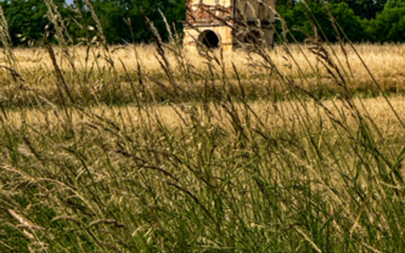 Parcours de la Save <br> Isle-Jourdain (32)