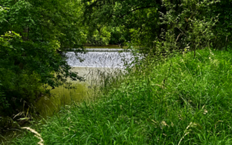 Parcours de la Save <br> Isle-Jourdain (32)