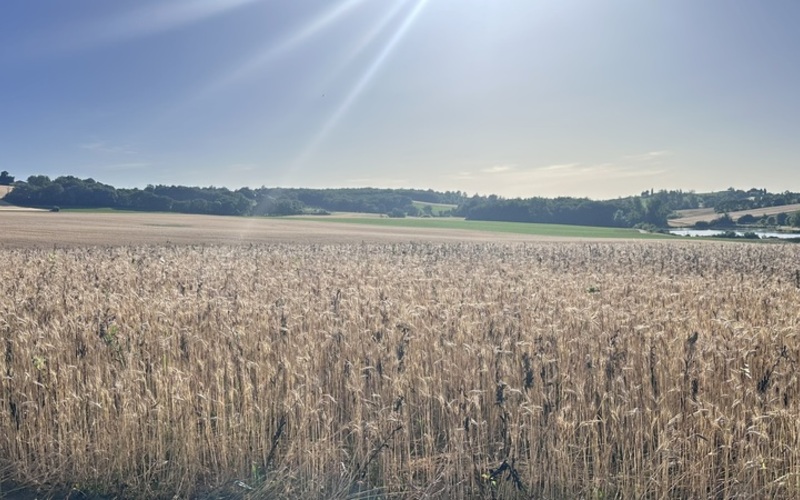 EPelerinage <br> Gimont (32)