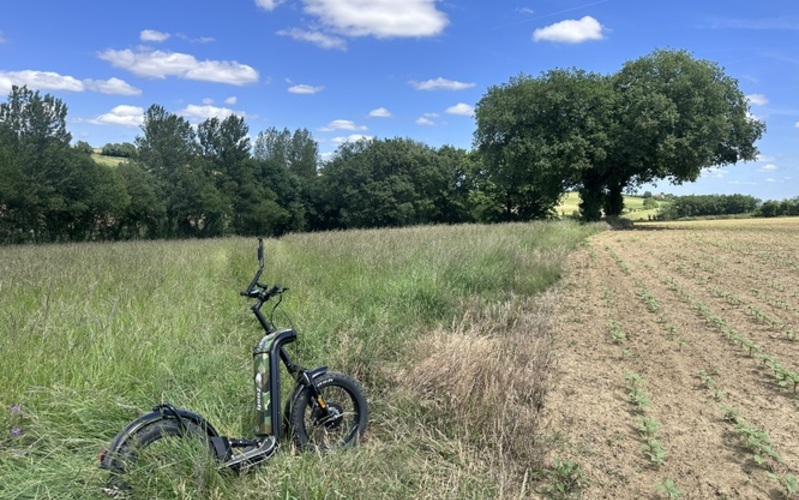 Sur les traces de d