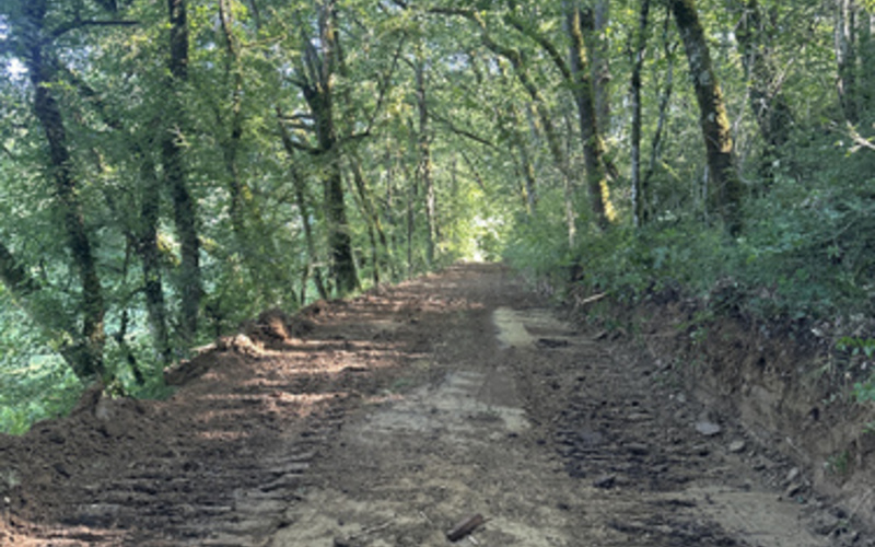 Sur les traces de d