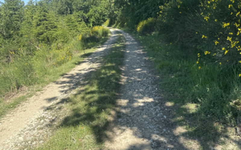 Sur les traces de d