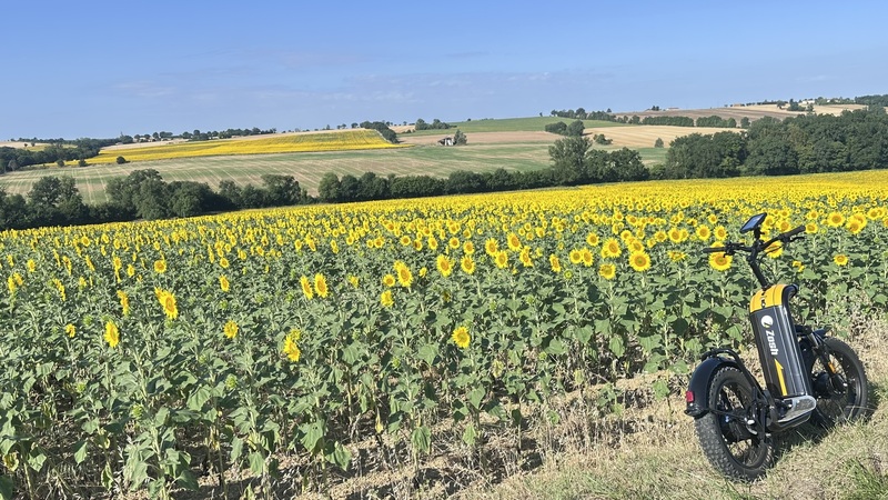 Coteaux de Gascogne <br>Cologne (32)