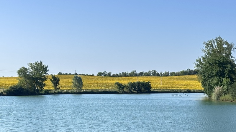 Coteaux de Gascogne <br>Cologne (32)