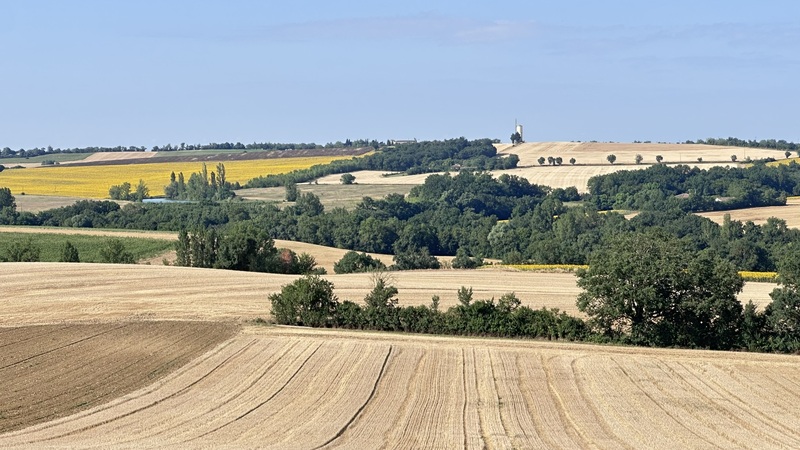 Coteaux de Gascogne <br>Cologne (32)