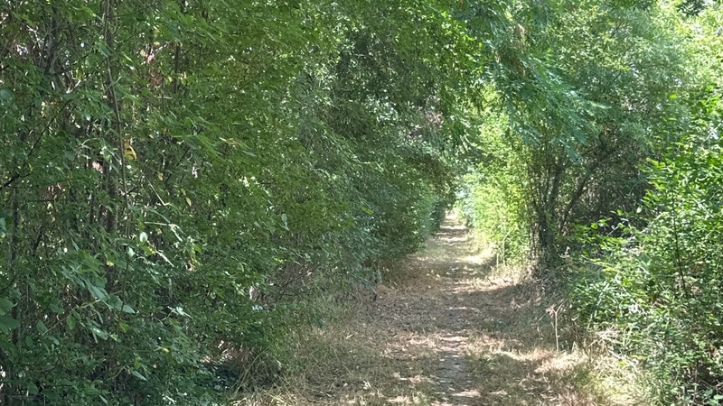 Le chemin de fer <br> Mauvezin (32)